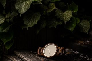 LAIMER Woodwatch ZEBRANO Mod. Melanie 0052